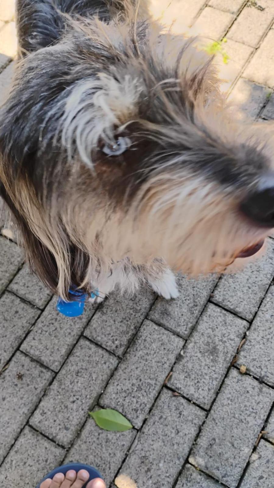 Pousada Das Pipas Osorio Buitenkant foto